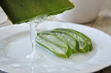 aloe-4529704_640(3).jpg