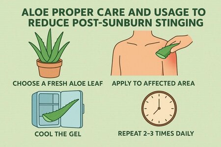 日焼けの痛みにアロエは逆効果？正しい塗り方とヒリヒリを抑える期間